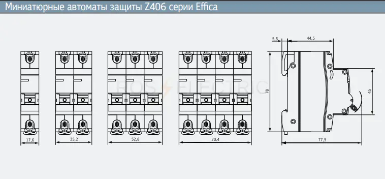 z406_2c_06_3.jpg