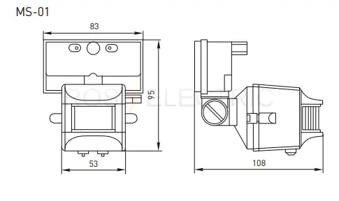 dd_ms_01_b_4.jpg