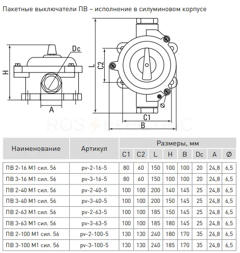 pv_3_100_5_4.jpg